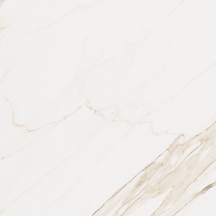 Omnia Calacatta Matte 48 x 48